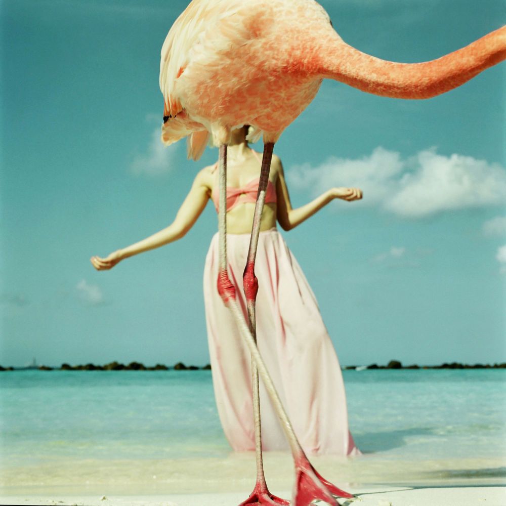 Autosave-File vom d-lab2/3 der AgfaPhoto GmbH